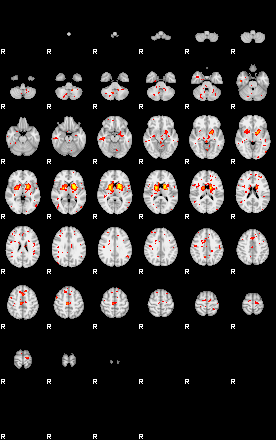 Control:19;component:39