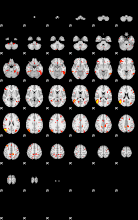 Control:81;component:142