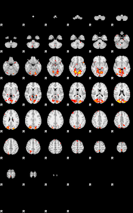 Control:81;component:191