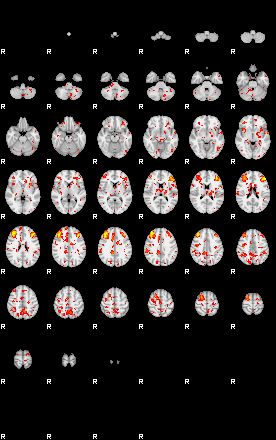 Patient:10;component:25