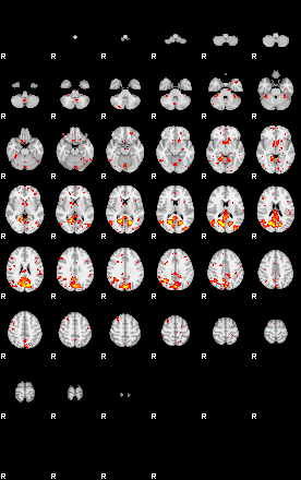 Patient:10;component:29