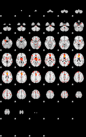 Patient:12;component:125