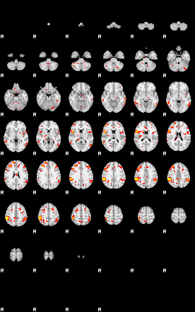 Patient:12;component:138