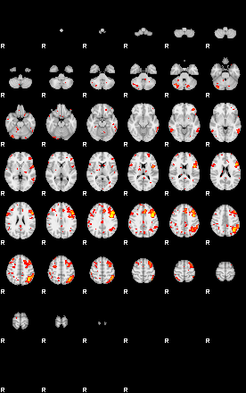 Patient:12;component:141