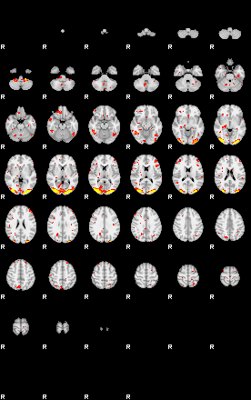 Patient:12;component:189