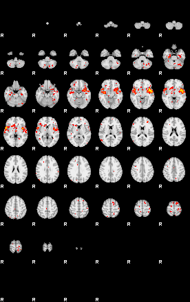 Patient:12;component:195