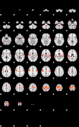 Patient:12;component:37