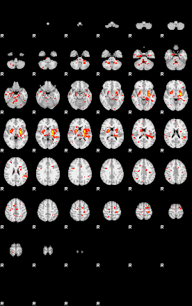 Patient:13;component:129