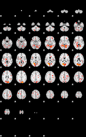 Patient:13;component:136