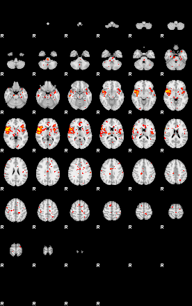 Patient:13;component:186