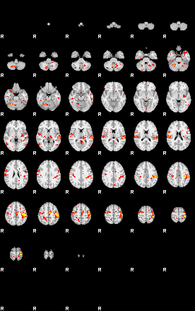 Patient:13;component:21