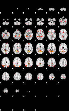 Patient:13;component:29