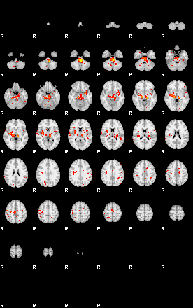 Patient:13;component:32