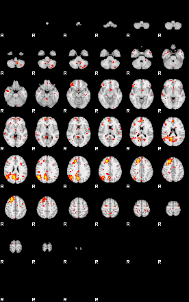 Patient:13;component:36