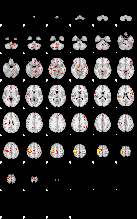 Patient:13;component:8