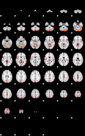 Patient:15;component:31