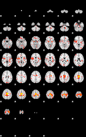 Patient:15;component:37