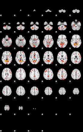 Patient:15;component:5