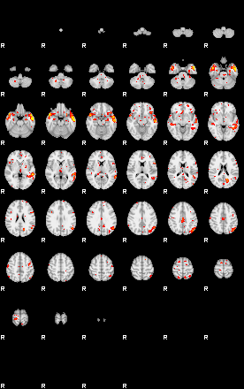 Patient:16;component:137