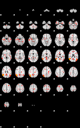 Patient:17;component:142