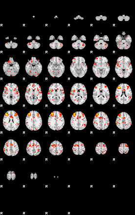 Patient:17;component:25