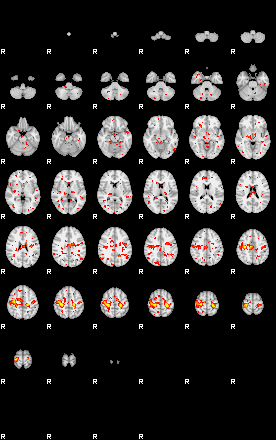 Patient:18;component:104