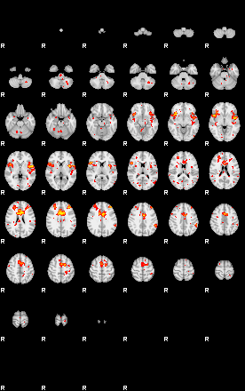 Patient:18;component:195