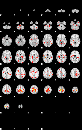 Patient:18;component:37