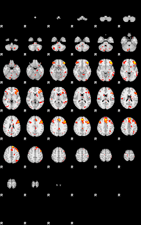 Patient:18;component:42