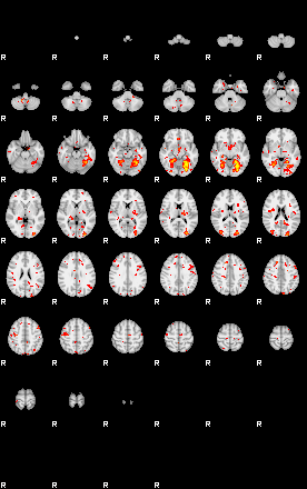 Patient:18;component:69