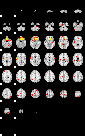 Patient:19;component:113