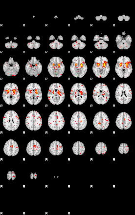 Patient:19;component:129