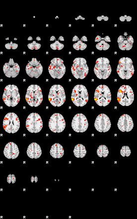 Patient:19;component:131