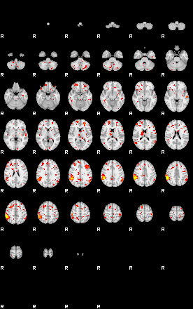 Patient:19;component:138