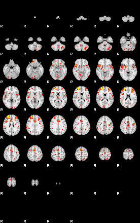 Patient:19;component:146