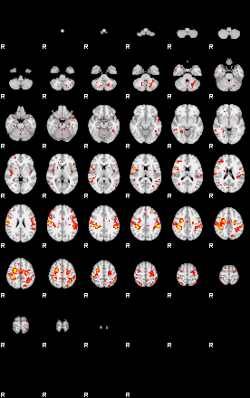 Patient:19;component:147