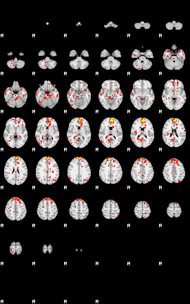 Patient:19;component:155