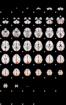 Patient:19;component:166