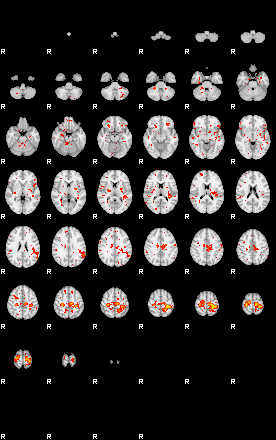 Patient:19;component:178