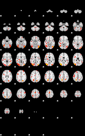 Patient:19;component:184