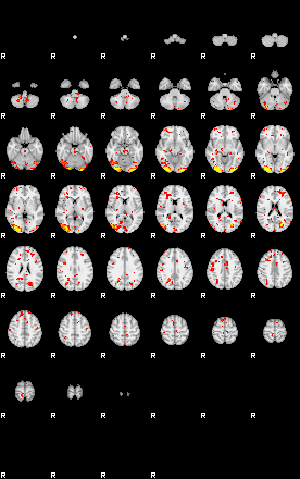 Patient:19;component:189