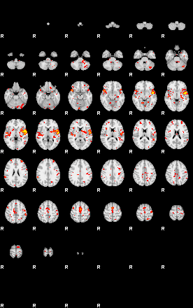 Patient:19;component:195