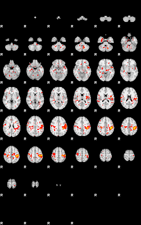 Patient:19;component:21