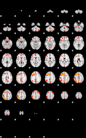 Patient:19;component:25