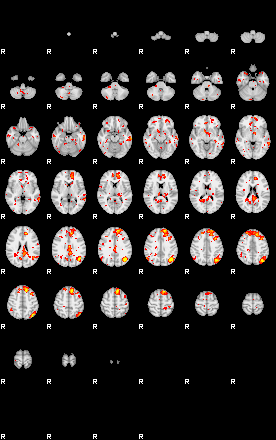 Patient:19;component:44