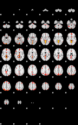 Patient:19;component:51