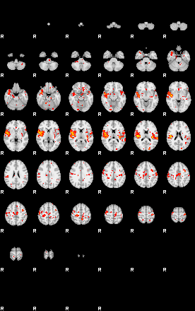 Patient:19;component:58