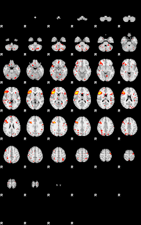 Patient:19;component:6