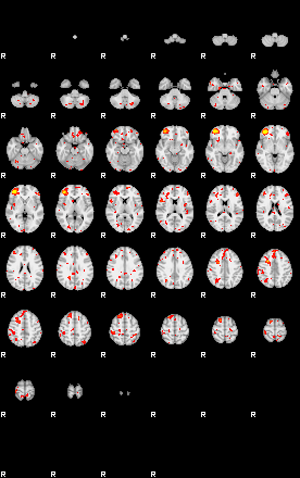 Patient:19;component:7