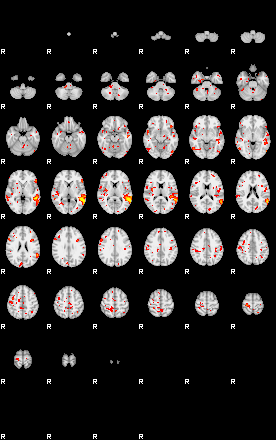 Patient:19;component:9